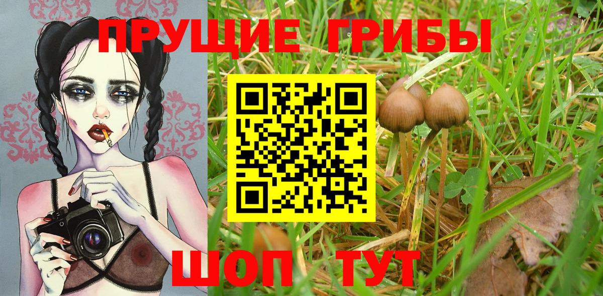 Мыски  Галлюциногенные грибы мицелий  Вход с VPN 